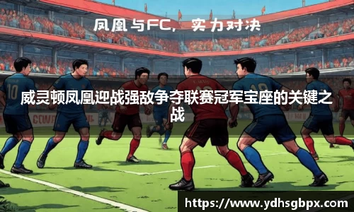 威灵顿凤凰迎战强敌争夺联赛冠军宝座的关键之战